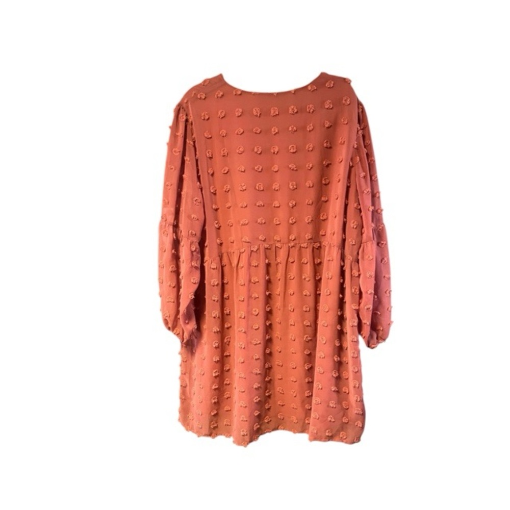 Miholl Chiffon Swiss Dot Long Sleeve Mini Dress - Picture 3 of 5
